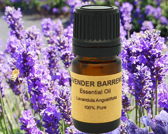 Lavender Essential from France, Region of