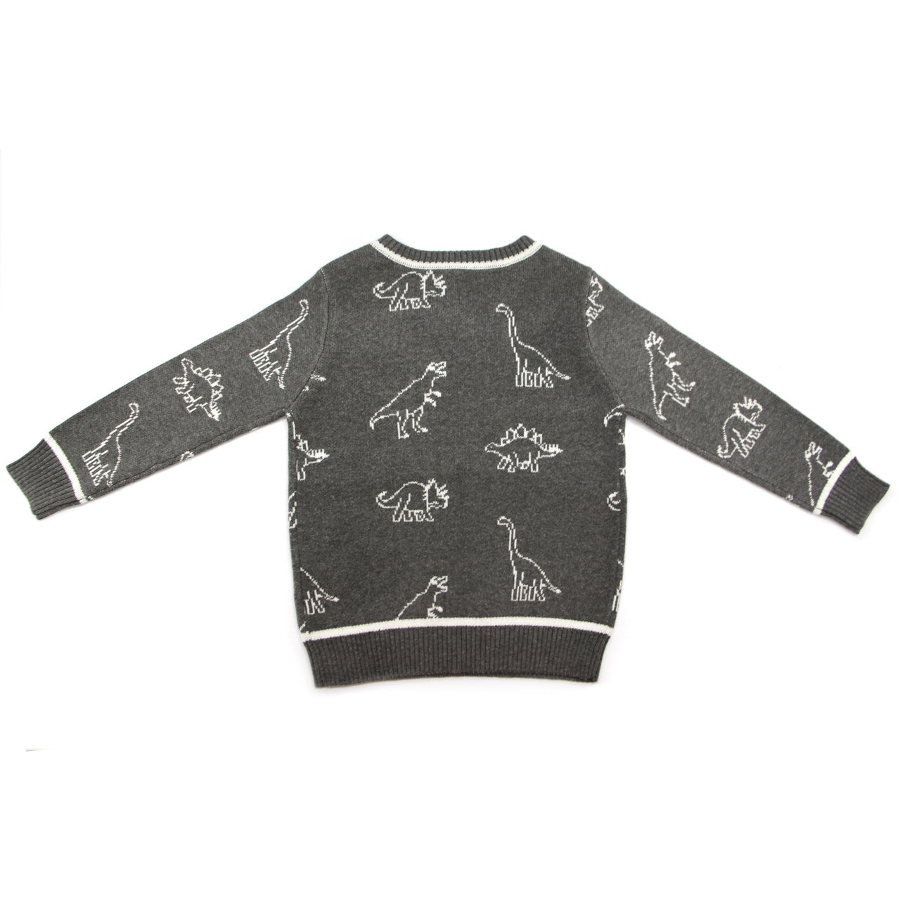 Leon Dinosaur Sweater Toddler