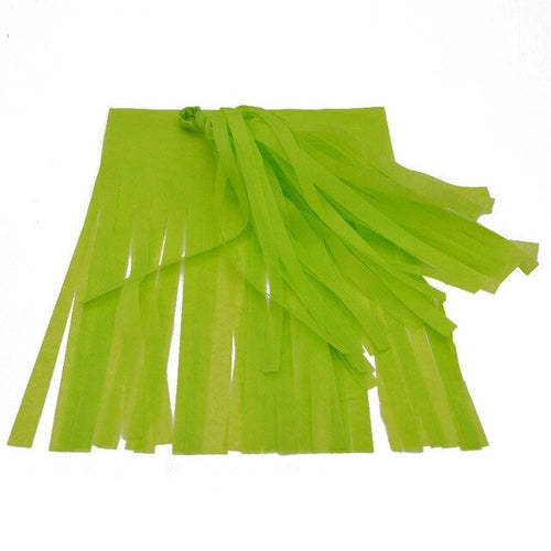 5Pcs 14inch Tissue Paper Tassels Garland for